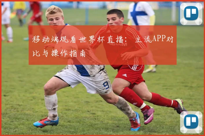 移动端观看世界杯直播:主流APP对比与操作指南